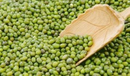 二豆娱乐吃瓜,揭秘娱乐圈吃瓜背后的真相